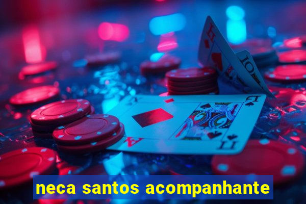 neca santos acompanhante